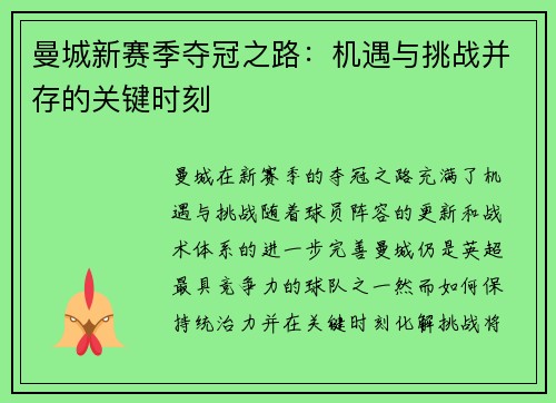 曼城新赛季夺冠之路:机遇与挑战并存的关键时刻 曼城新赛季夺冠之路:机遇与挑战并存的关键时刻