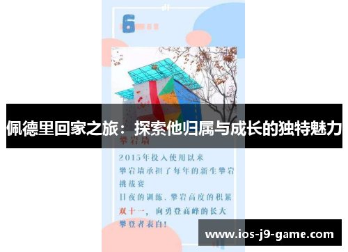 佩德里回家之旅：探索他归属与成长的独特魅力