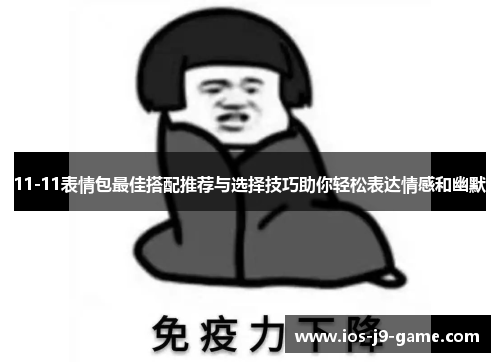 11-11表情包最佳搭配推荐与选择技巧助你轻松表达情感和幽默