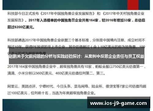 赵鹏关于欠薪问题的分析与实践经验探讨：从案例中反思企业责任与员工权益