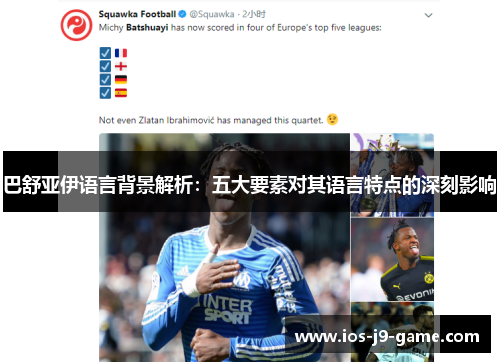 巴舒亚伊语言背景解析：五大要素对其语言特点的深刻影响