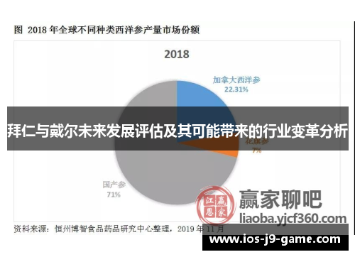 拜仁与戴尔未来发展评估及其可能带来的行业变革分析