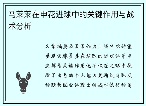 马莱莱在申花进球中的关键作用与战术分析 马莱莱在申花进球中的关键作用与战术分析